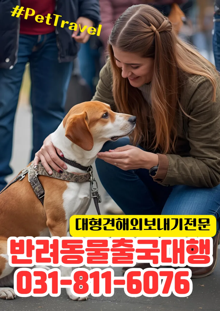  대형견 해외운송 전문 서비스 | 맞춤형 항공 이동 솔루션
