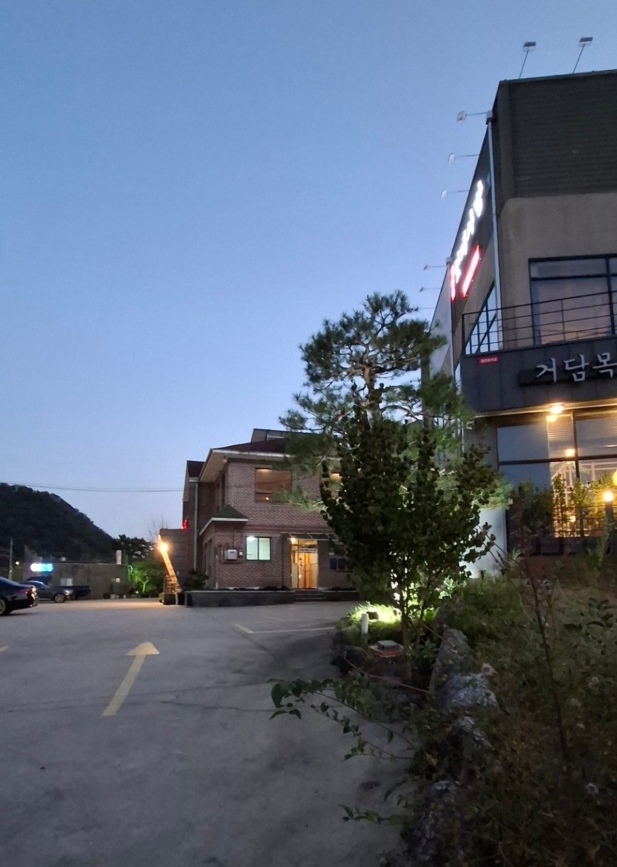 거담목 헛제사밥 사진 4