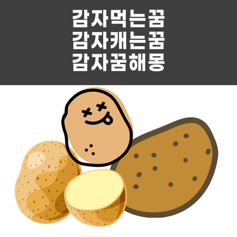 감자먹는꿈 감자꿈 감자캐는꿈 해몽 어떤 의미일까?