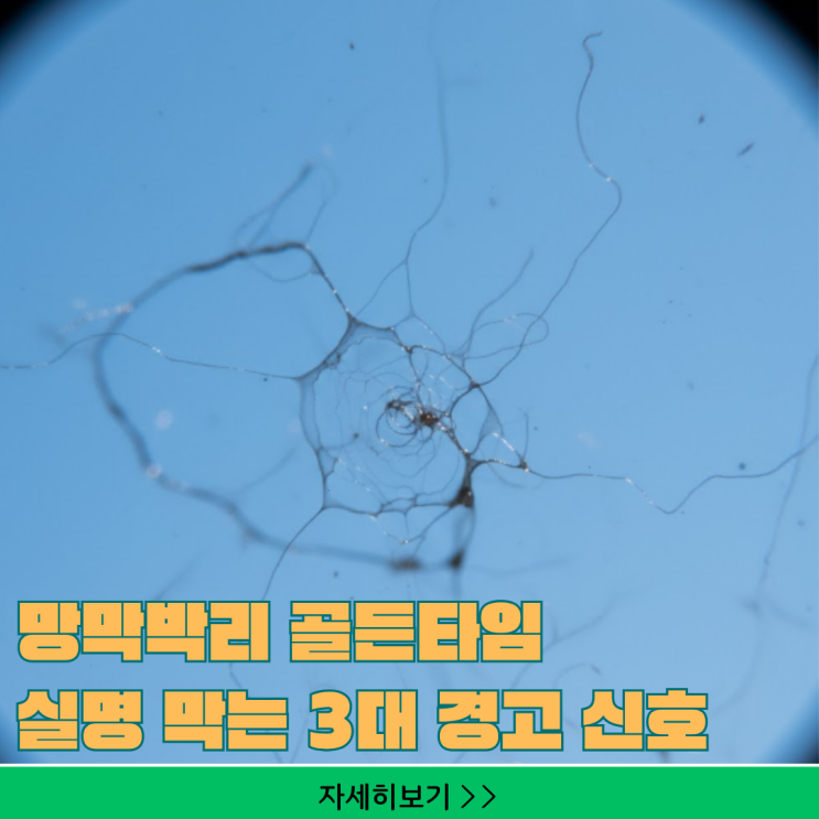  망막박리 골든타임, 실명 막는 '3대 경고 신호' 즉시 확인하세요