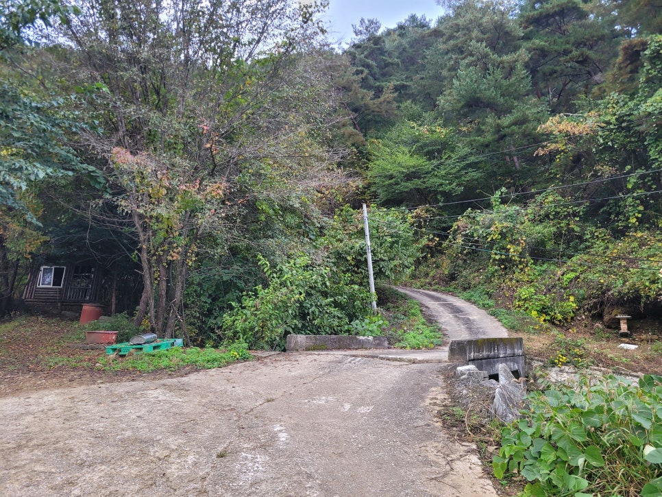 기우산 사진 5
