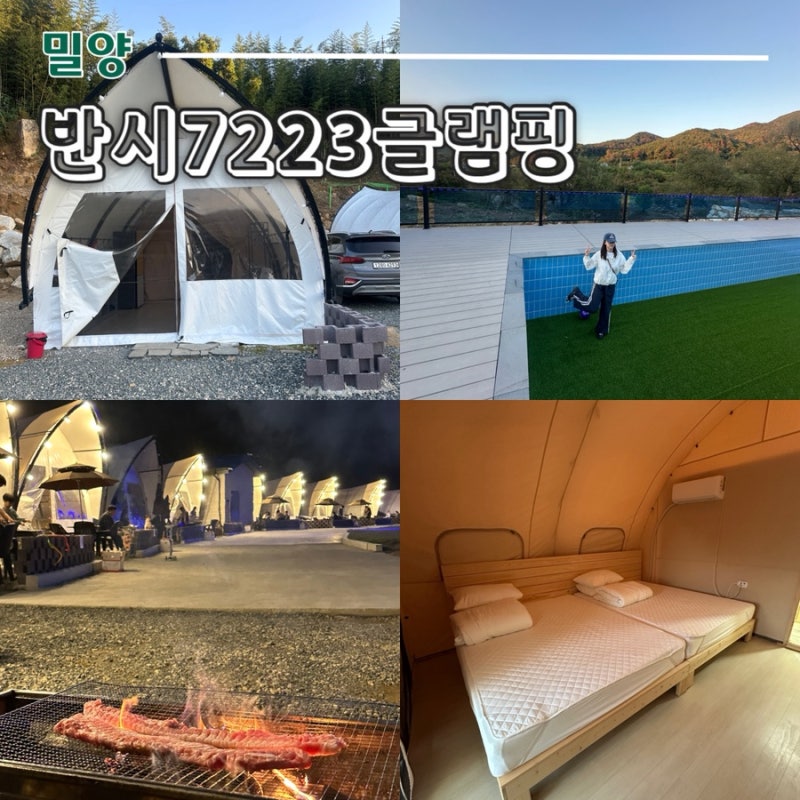 사진 3
