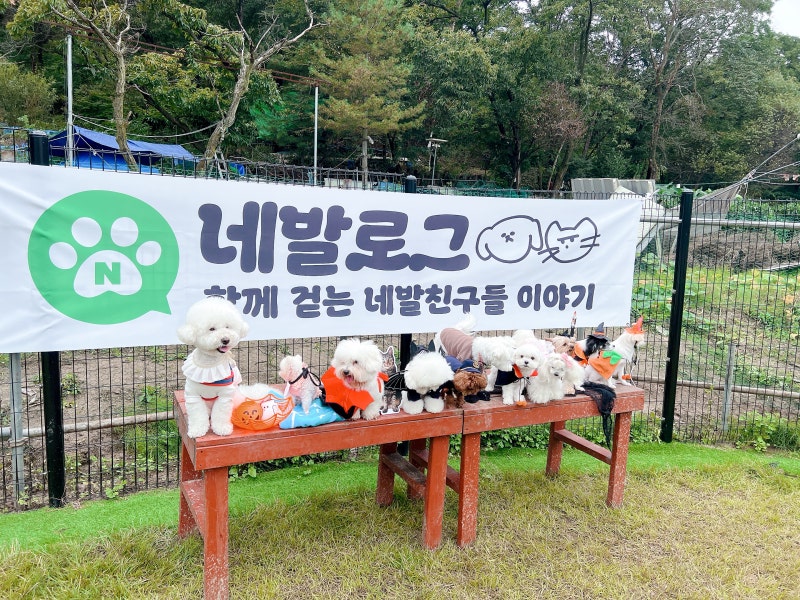 사진 7