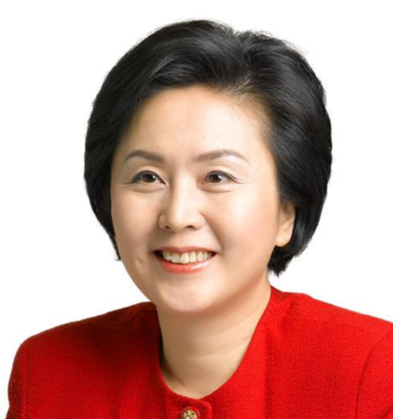 전 국회의원 김영선 프로필