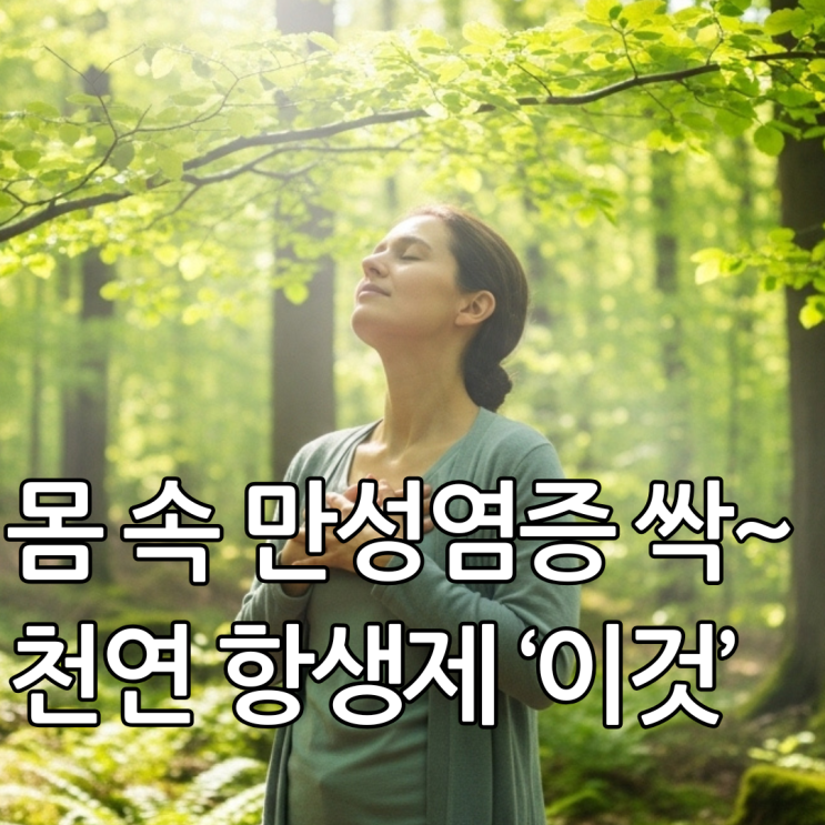  기침, 가래 달고 산다면? 의사도 주목한 곰보배추 효능 5가지