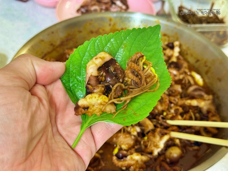  야매 요리] 잡아온 주꾸미로 주꾸미볶음 해먹기.