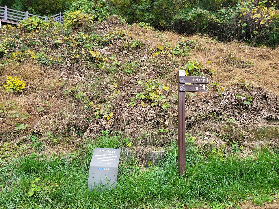 철미산 사진 4