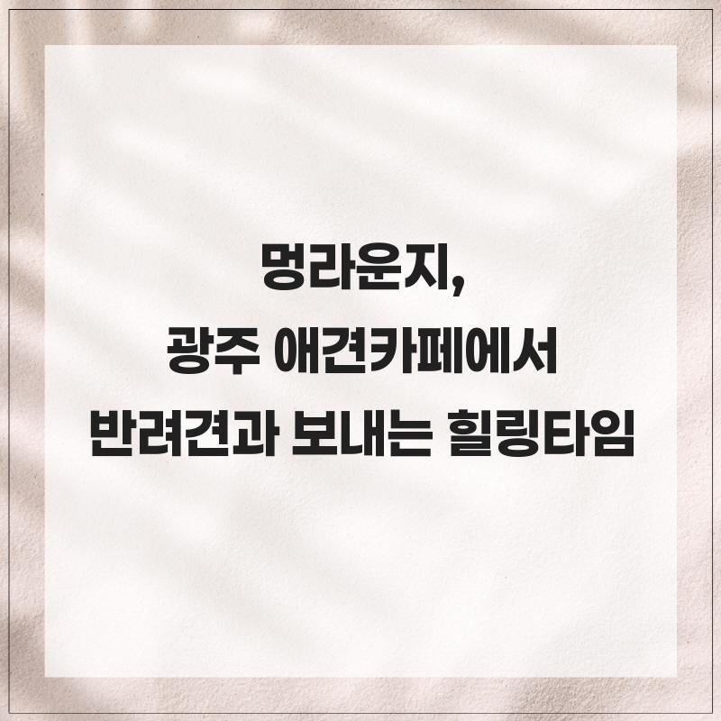 사진 3