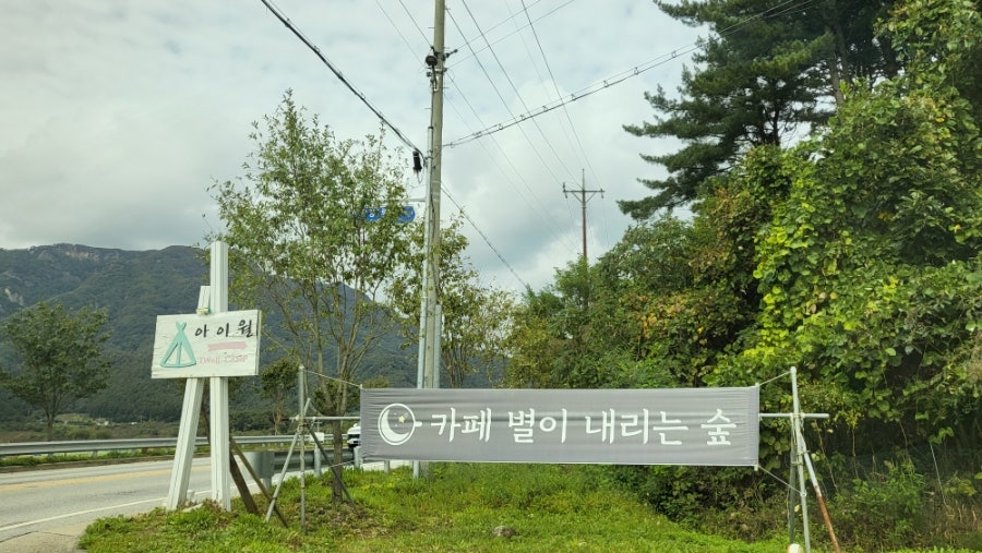 별이 내리는 숲 사진 2