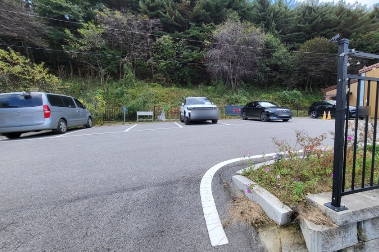 별이 내리는 숲 사진 5