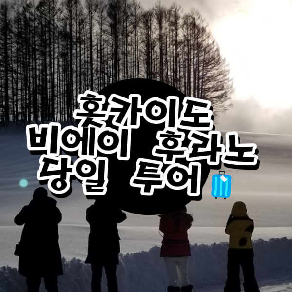  홋카이도 겨울여행 필수 코스｜눈꽃 여행의 정점, 비에이·후라노 감성 여행기