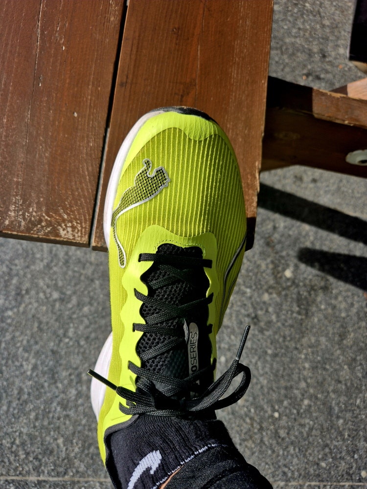 닭섬 사진 5