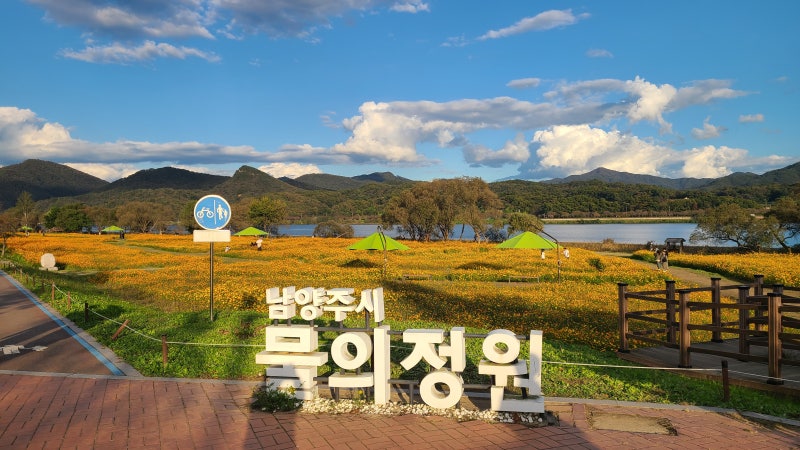 사진 3