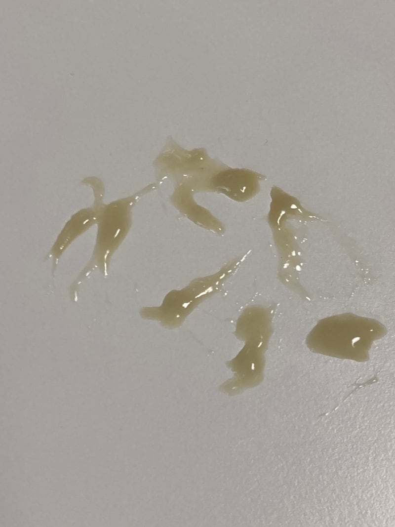 고양이 부비동염 치료 및 관리 후기(+허피스 치료 후기)
