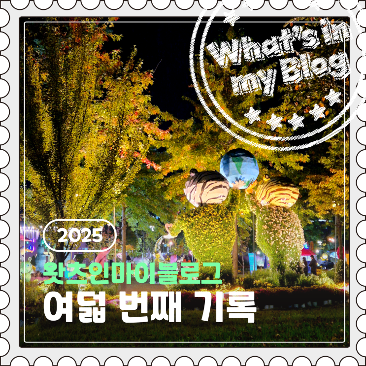  2025 블로그 챌린지, 왓츠인마이블로그 여덟 번째 기록
