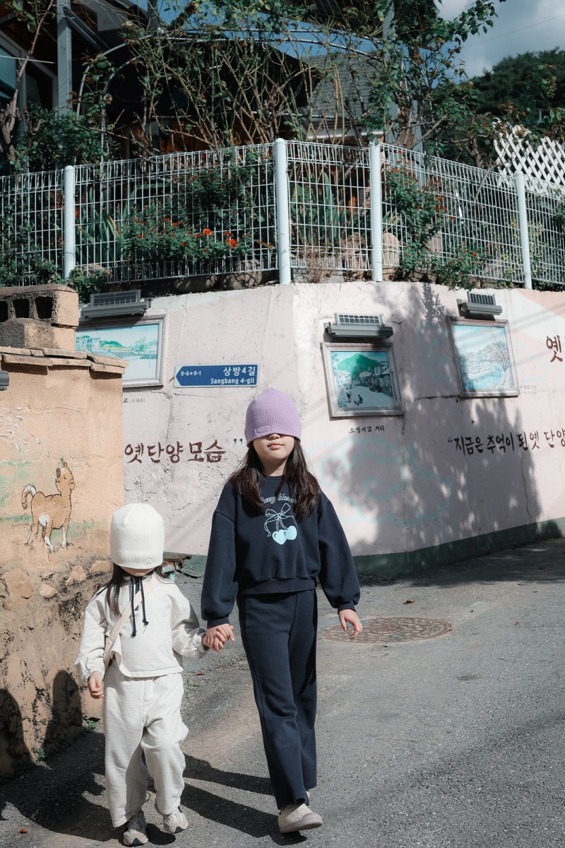 사진 2