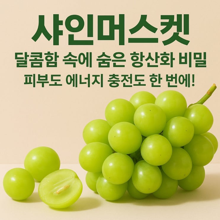  샤인머스켓 효능｜피부 미용부터 피로 회복까지, 달콤한 포도 한 송이의 건강 비밀 