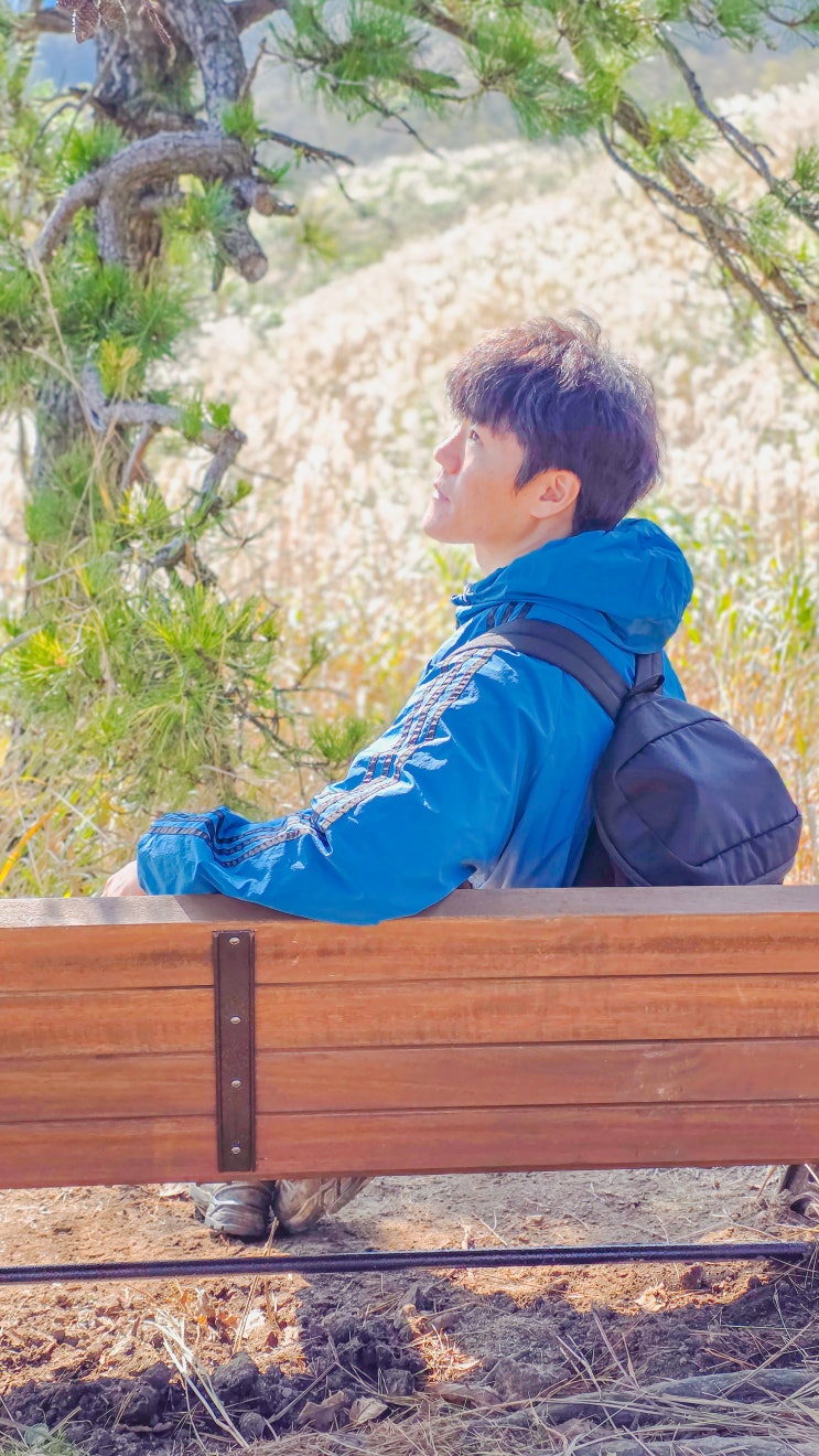  전북 장안산 억새밭 등산 — 무룡고개에서 시작하는 원점회귀 힐링 코스