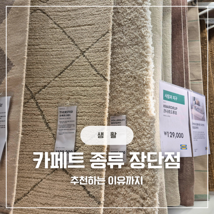  추워지는 날씨 카페트 한장이면 충분하다 카페트 종류 장단점 추천이유까지
