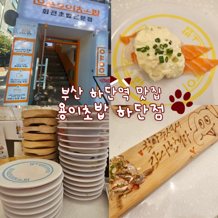  부산 하단역 맛집: 용이초밥 하단점(초밥이 정말 다양하고 맛있어요!)