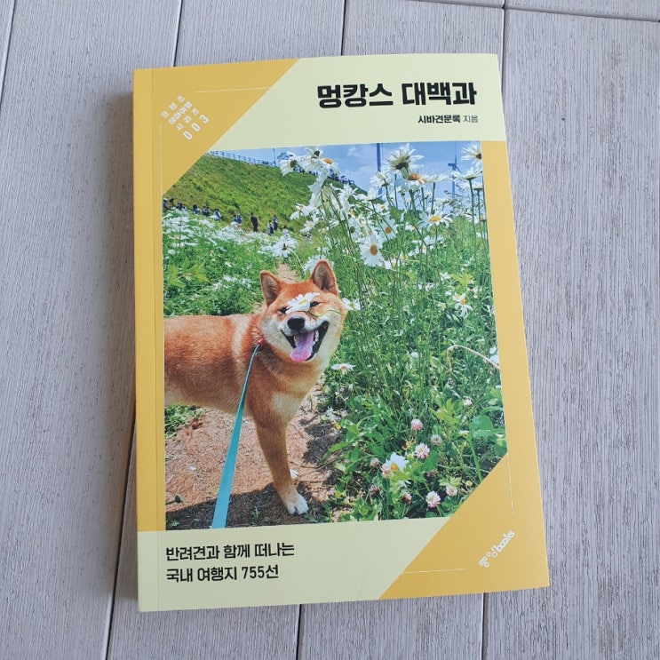  멍캉스 대백과 : 반려견과 함께 떠나는 진짜 여행 가이드
