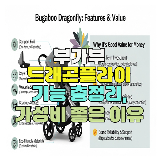  부가부 드래곤플라이 기능 총정리, 가성비 좋은 이유