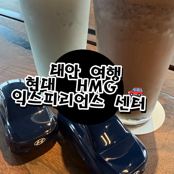  태안 현대 HMG 드라이빙 익스피리언스 후기 | 전시, 체험, 카페까지 한 번에 즐긴 하루