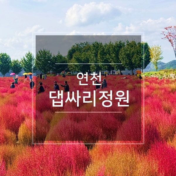 사진 10