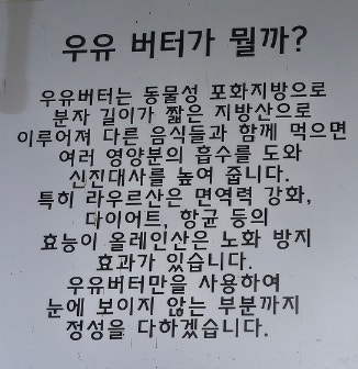 브레드에뜰 네번째이야기 사진 5