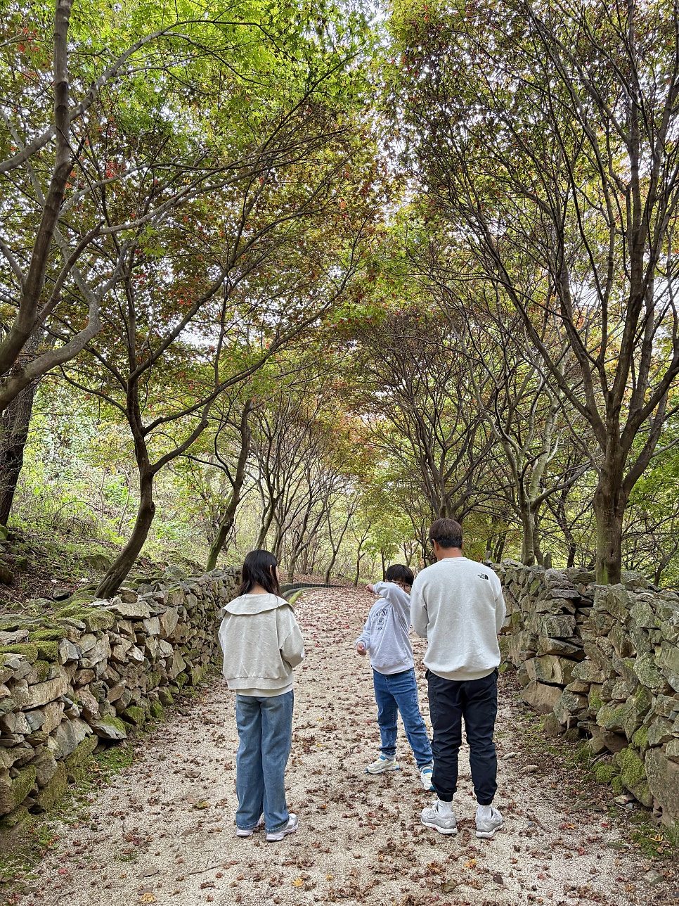 Jilgogaessambap photo 4