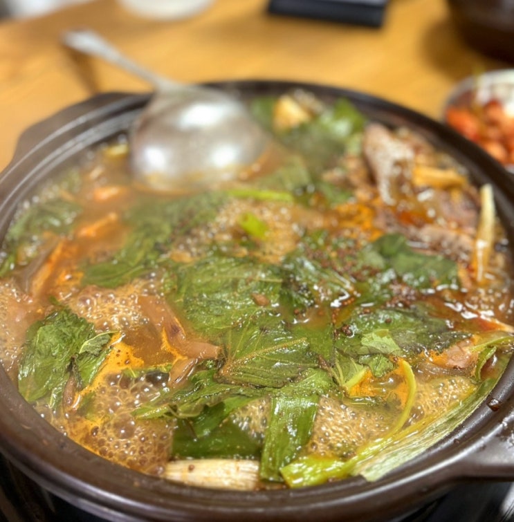  강남역 무등산수만리  염소탕 염소전골 보양식맛집 뜨끈한 국물 한 그릇