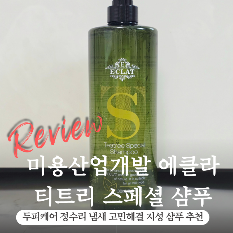 두피케어 정수리냄새엔 미용산업개발 에클라 티트리 스페셜 샴푸추천