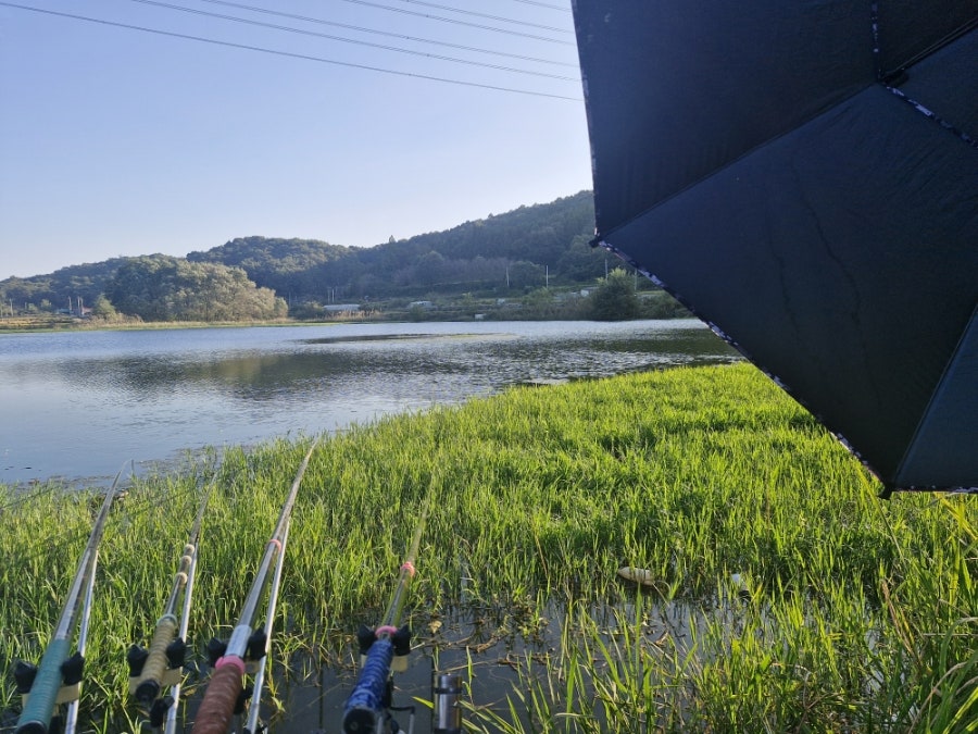 도천제 사진 4