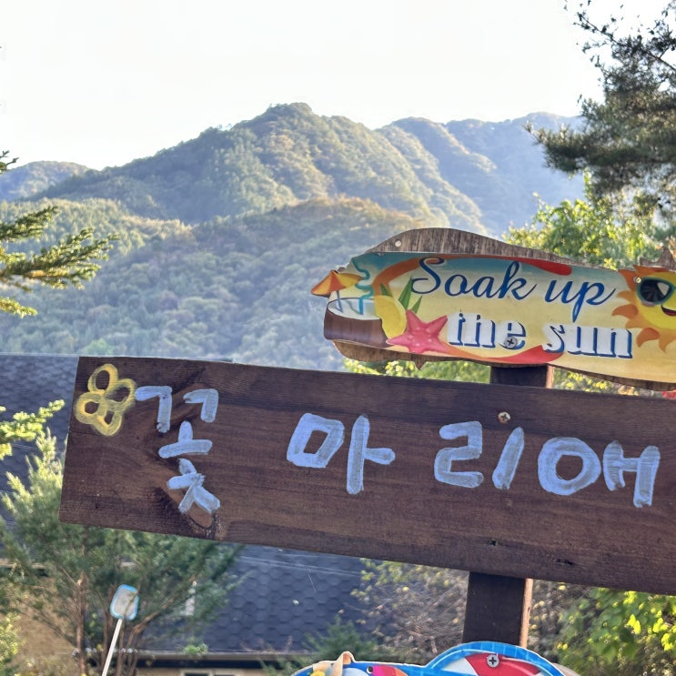  가평 애견동반 펜션 대형견 가능 독채펜션 꽃마리애 프라이빗 핀란드 사우나 찜질방