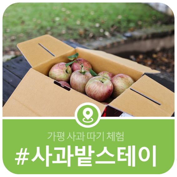 사과밭스테이 사진 1