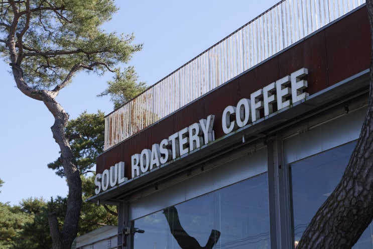  [춘천 최애 카페] 소나무 숲속 힐링 카페! '소울로스터리(Soul Roastery)' 옥수수 커피 내돈내산 후기