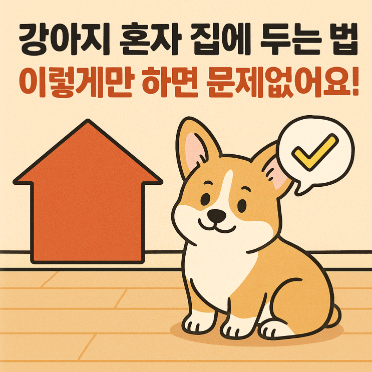   강아지 혼자 집에 두는 훈련법 총정리