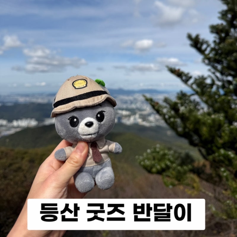 등산 필수템! 국립공원 굿즈 반달이 인형 구매 방법 후기 반달스님 오픈일자