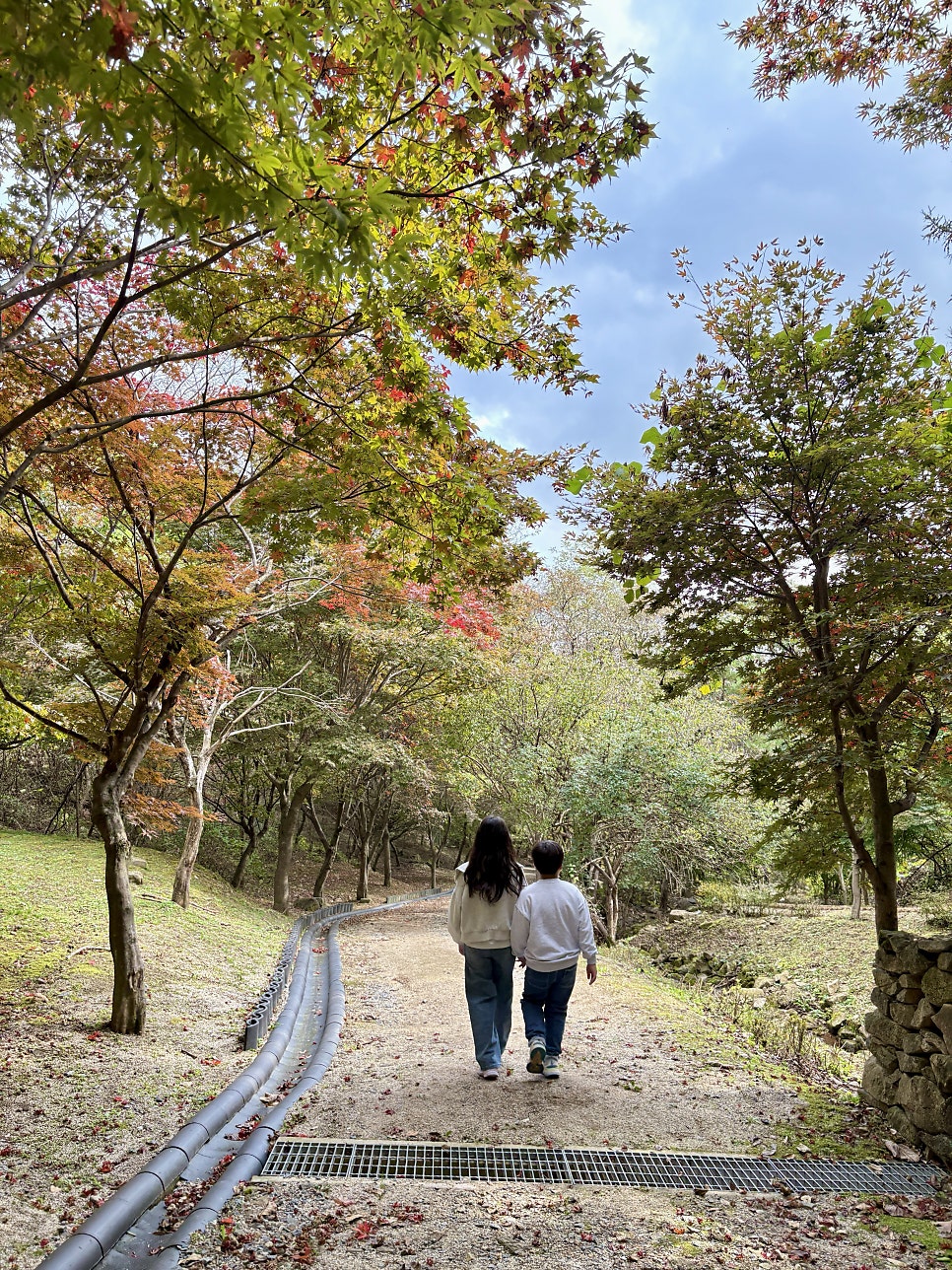 Jilgogaessambap photo 2
