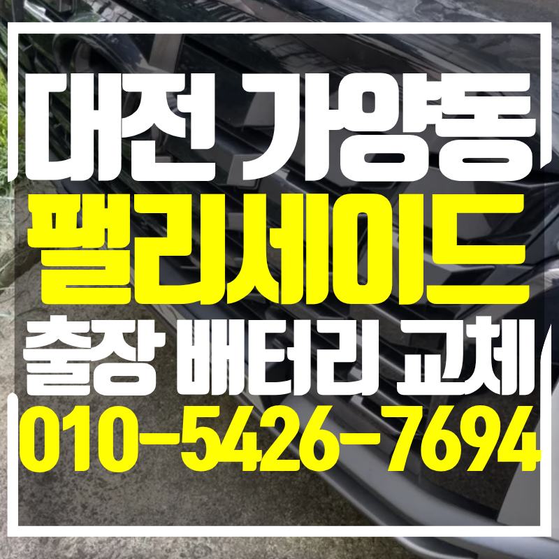 대전 팰리세이드 배터리 가양동으로 이동 교체 사례