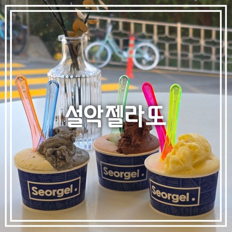 강원도 속초 디저트] 설악젤라또 || 강원도 특산물 젤라또 오징어먹물