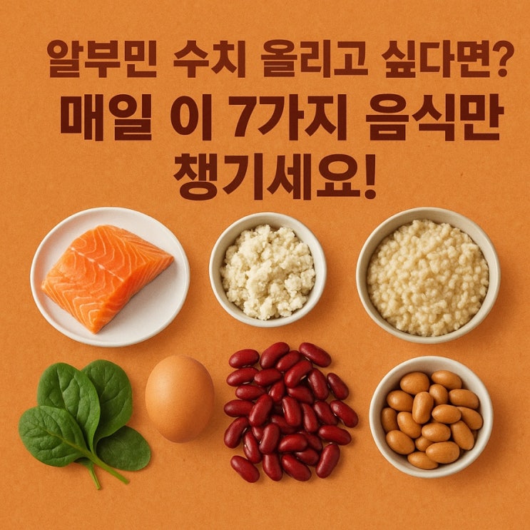   알부민 수치 높이는 음식 TOP 7｜붓기 줄이고 활력 높이는 단백질 식단!