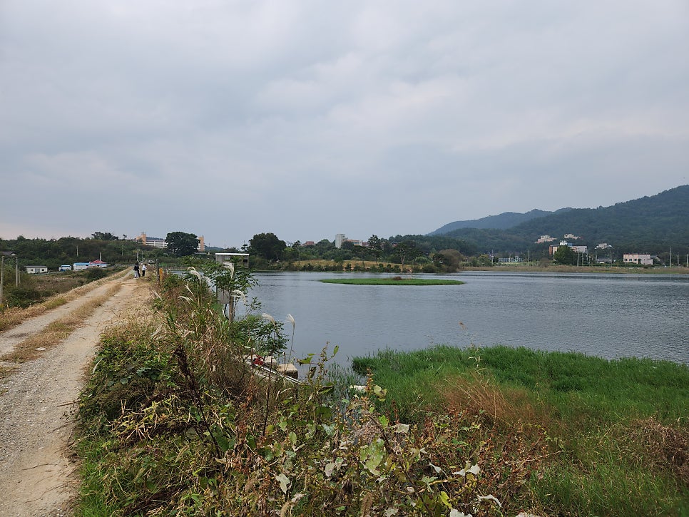 연화제 사진 6