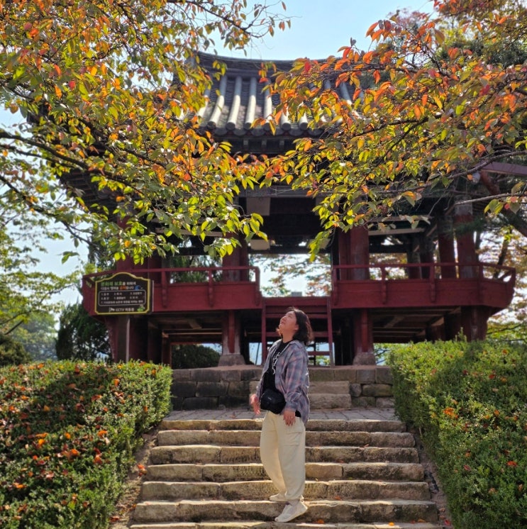  김천 여행, 연화지 가을 모습, 연화지 카페 나들이