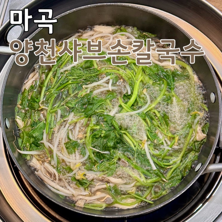  서울식물원 근처 마곡 양천향교역 맛집 발견 양천샤브손칼국수