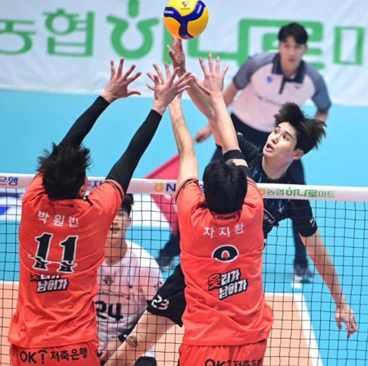 <b>컵대회 파행</b> 징계 한국배구연맹(<b>KOVO</b>)의 책임과 향후 과제
