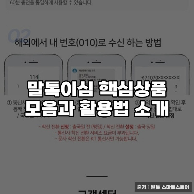 말톡이심 핵심상품 모음과 활용법 소개