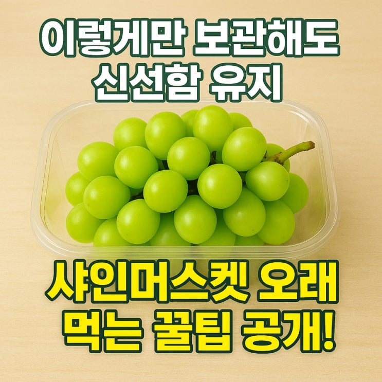  샤인머스켓 보관법｜신선함 오래 유지하는 냉장·냉동 꿀팁 총정리 