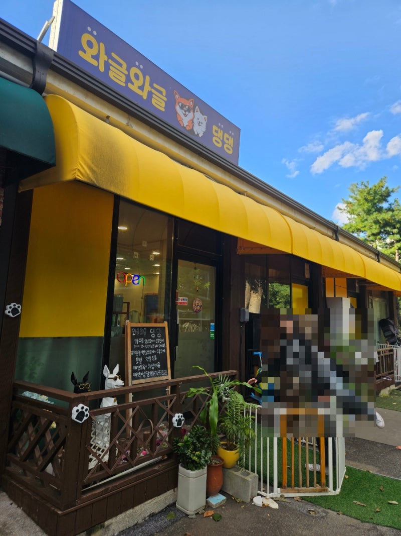 사진 5