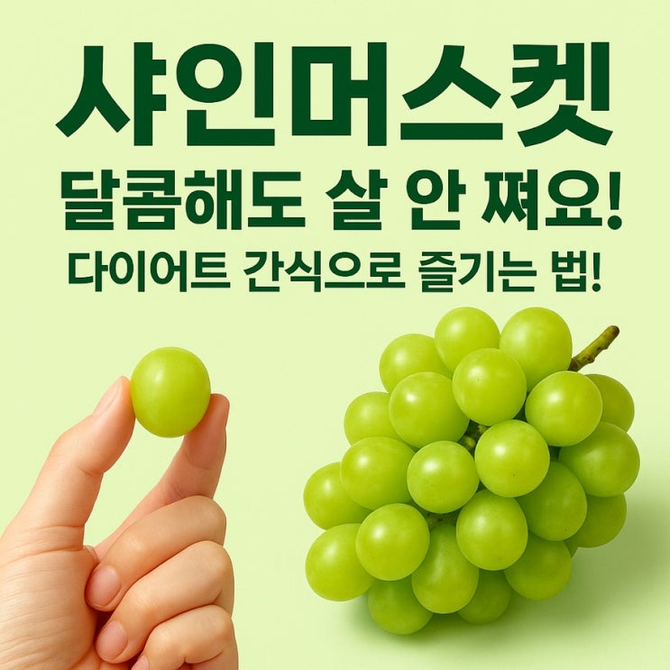  샤인머스켓 칼로리 & 다이어트 섭취법  달콤하지만 살 안 찌게 즐기는 방법